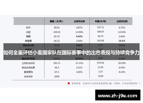 如何全面评估小麦国家队在国际赛事中的出色表现与持续竞争力