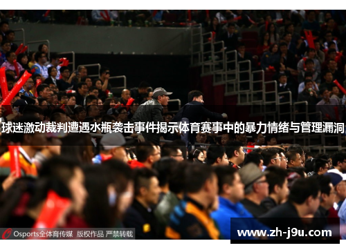 球迷激动裁判遭遇水瓶袭击事件揭示体育赛事中的暴力情绪与管理漏洞