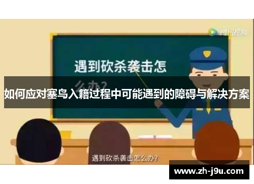 如何应对塞鸟入籍过程中可能遇到的障碍与解决方案